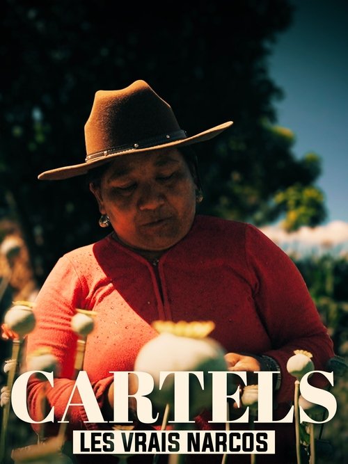 Movie poster for Les vrais Narcos (2020)