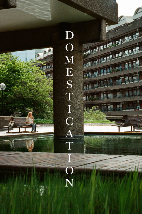 Movie poster for Domestication
