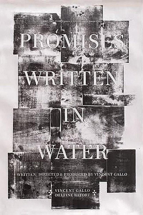 Movie poster for Promises Written in Water (2010)