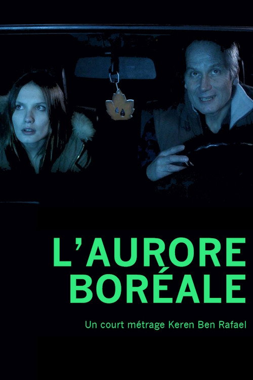 Movie poster for L'Aurore boréale (2013)