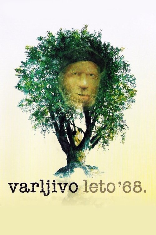 Movie poster for The Elusive Summer of '68 (1984)