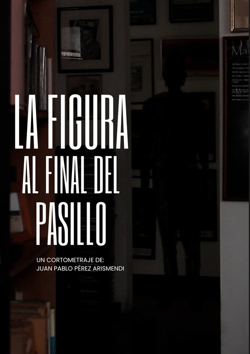 Movie poster for La figura al final del pasillo (2023)