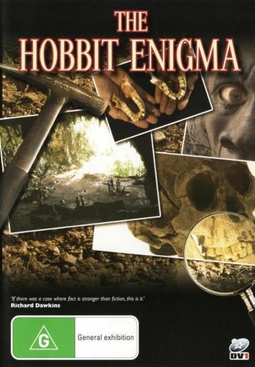 Movie poster for The Hobbit Enigma (2008)