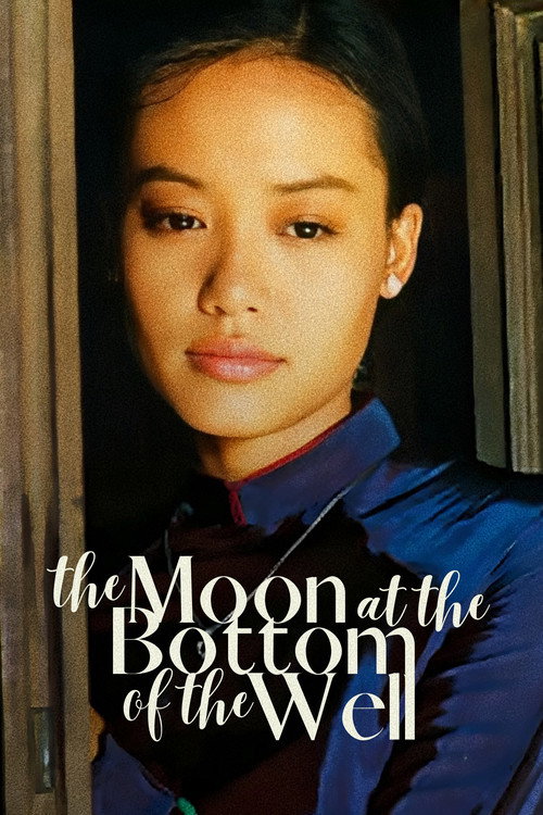 Movie poster for The Moon at the Bottom of the Well (2008)