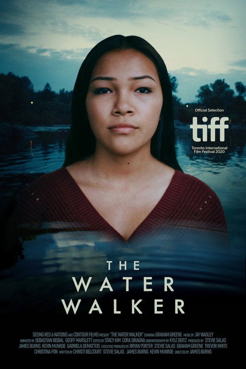 Movie poster for The Water Walker (2020)