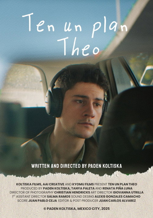 Movie poster for Have a Plan Theo (2025)