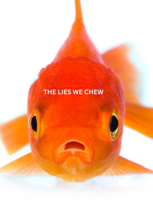 Movie poster for The Lies We Chew