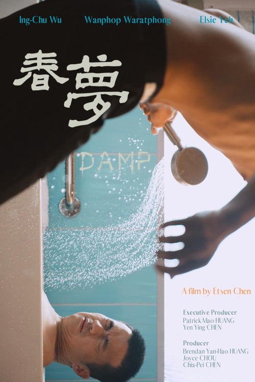 Movie poster for Damp (2025)