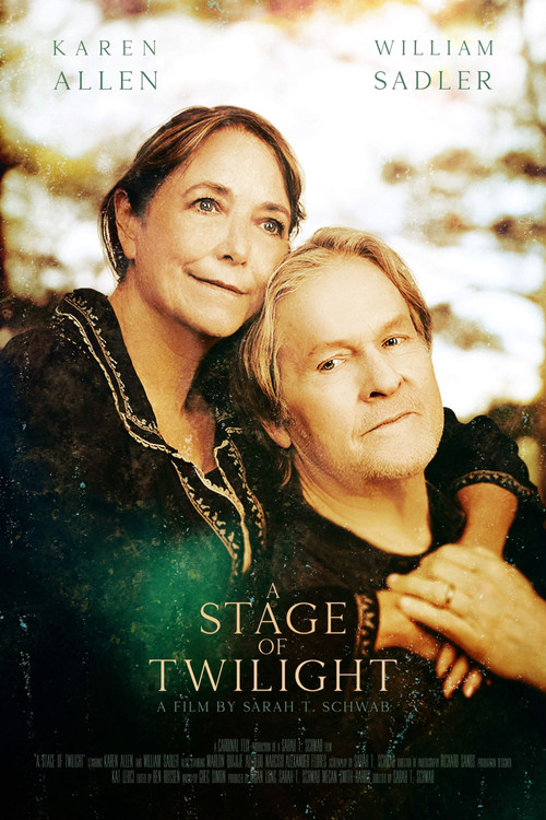 Movie poster for A Stage of Twilight (2024)