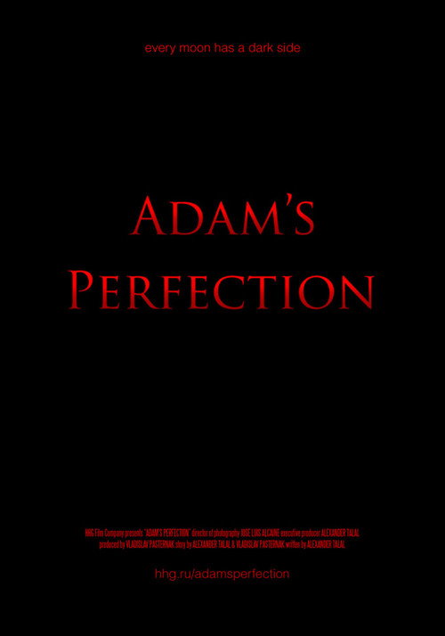 Movie poster for Adam's Perfection