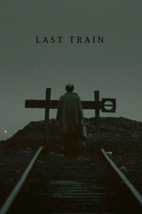Movie poster for Last Train (2010)