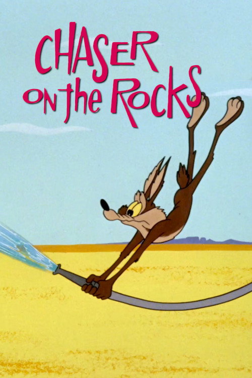 Movie poster for Chaser on the Rocks (1965)