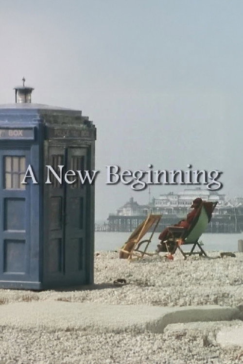 Movie poster for A New Beginning (2004)