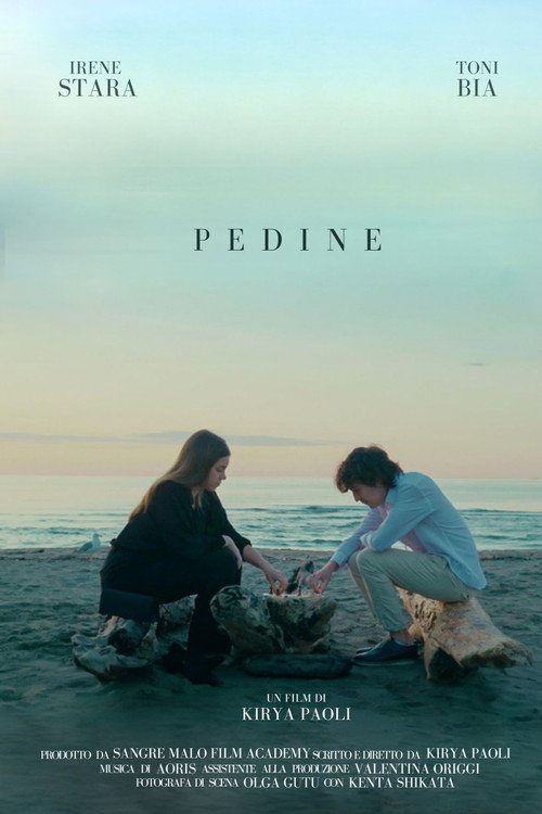 Movie poster for Pedine