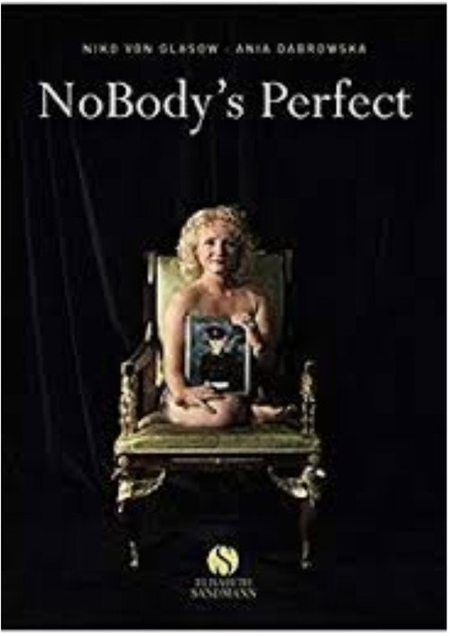 Movie poster for NoBody's Perfect (2008)