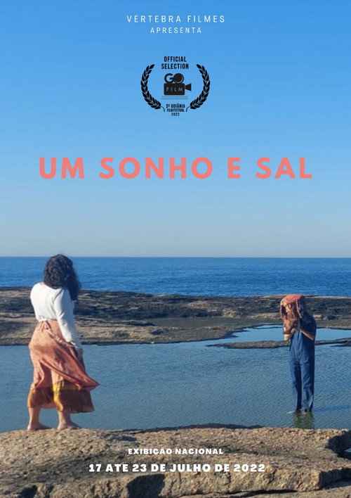 Movie poster for Um Sonho e Sal