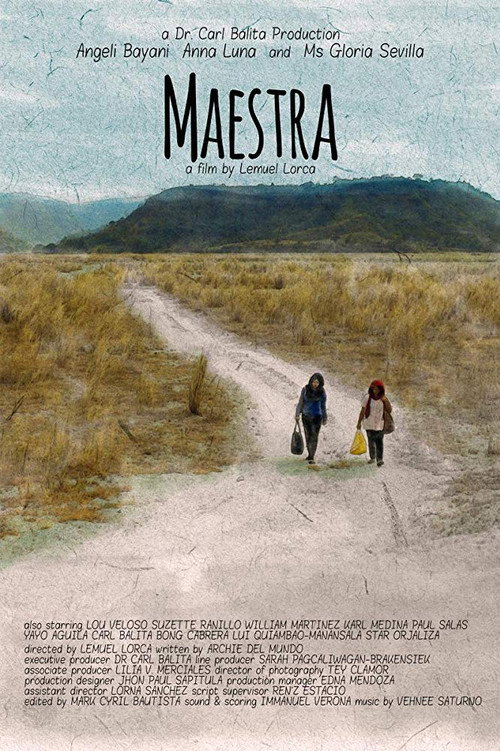 Movie poster for An Educator (2017)