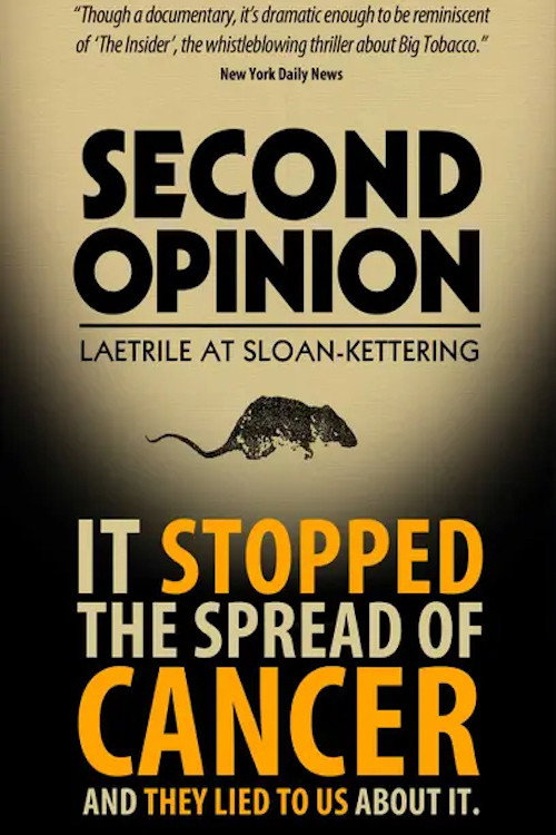 Movie poster for Second Opinion (2014)