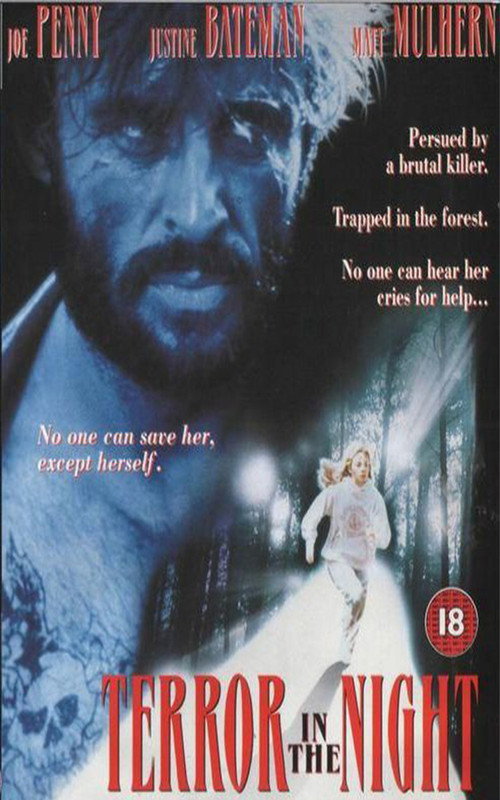 Movie poster for Terror in the Night (1994)