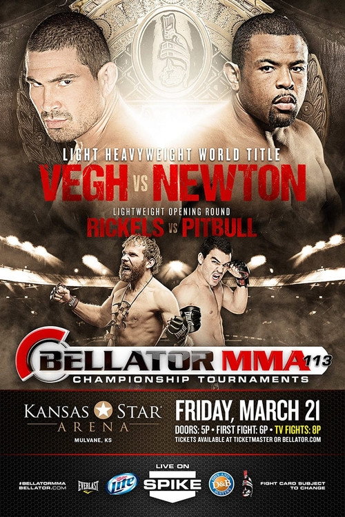 Movie poster for Bellator 113 (2014)