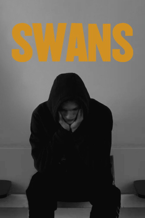 Movie poster for Swans (2011)