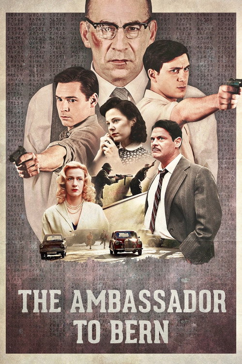 Movie poster for The Ambassador to Bern (2014)