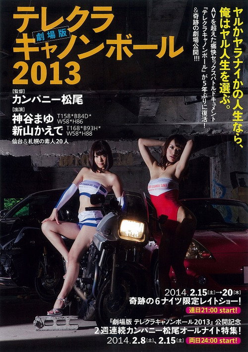 Movie poster for The Sex Cannon Ball Run 2013 (2014)