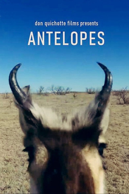 Movie poster for Antelopes (2020)