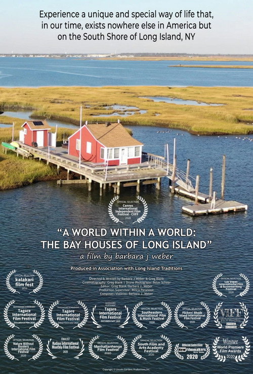 Movie poster for A World Within a World: The Bay Houses of Long Island (2020)