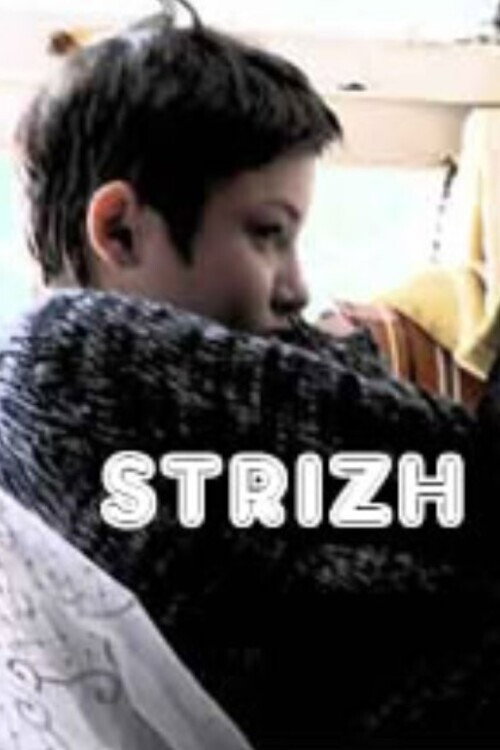Movie poster for Swift (2008)