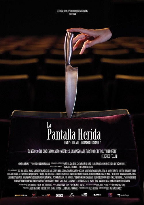 Movie poster for La pantalla herida (2014)