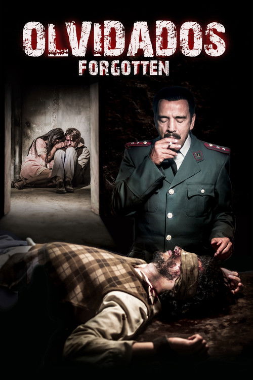 Movie poster for Forgotten (2014)