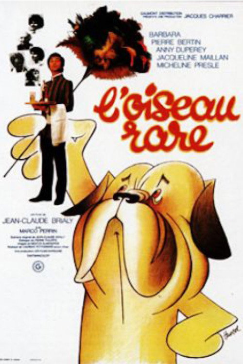 Movie poster for A Rare Bird (1973)