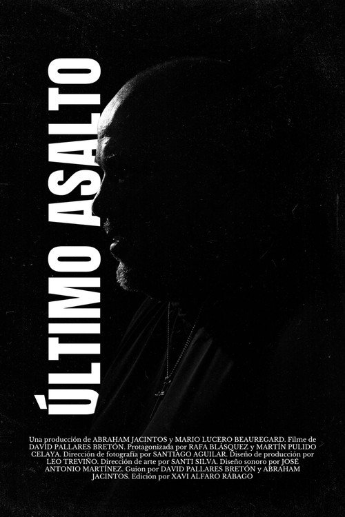 Movie poster for Last Round (2024)