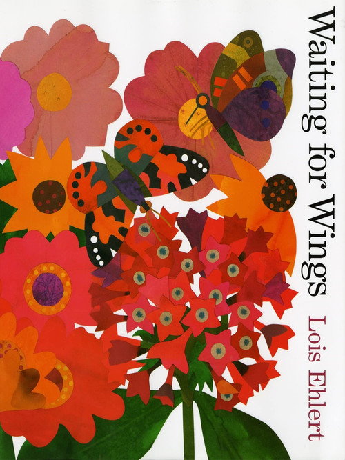 Movie poster for Waiting for Wings (2002)