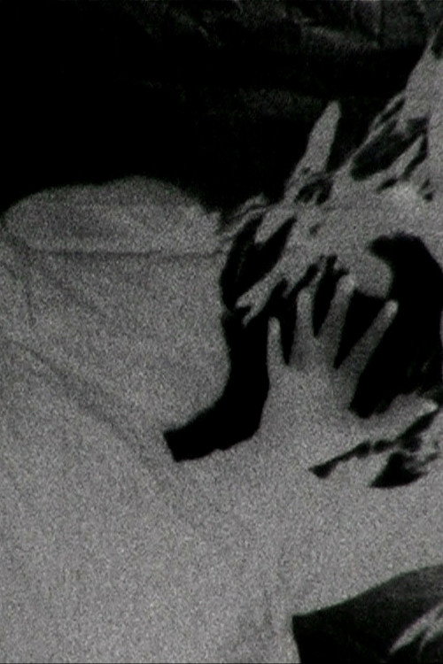 Movie poster for METAMORPHOSE (2012)