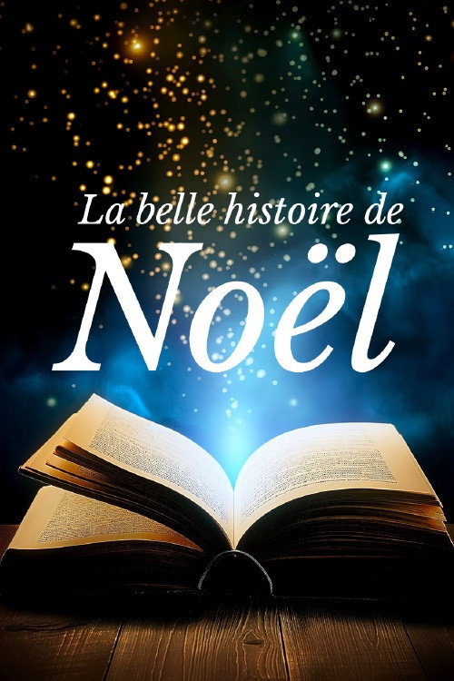 Movie poster for La belle histoire de Noël (2024)