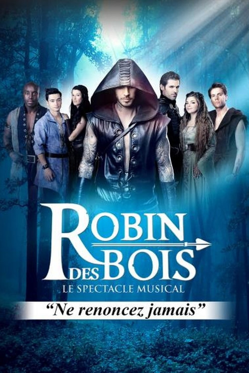 Movie poster for Robin Hood – The Musical Spectacle (2014)