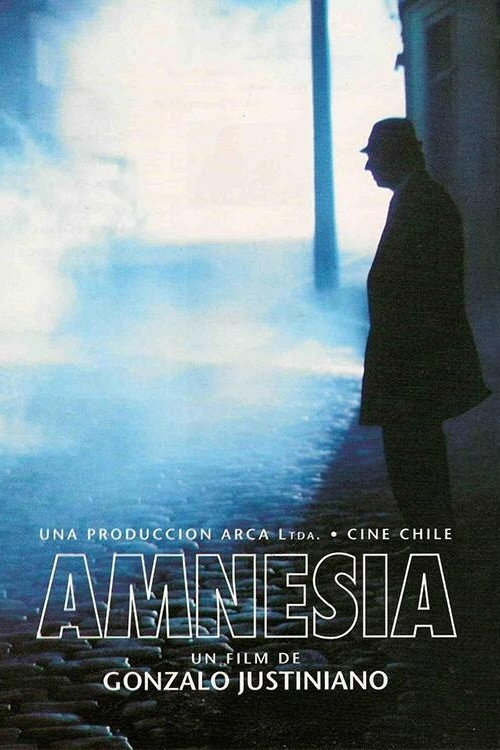 Movie poster for Amnesia (1994)