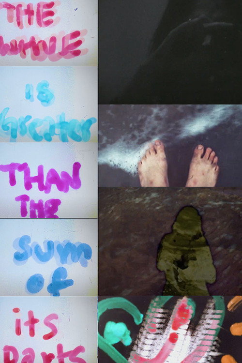 Movie poster for The Whole is Greater Than the Sum of its Parts (2020)