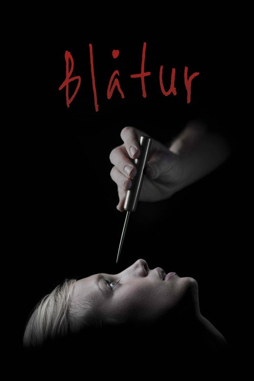Movie poster for Blåtur (2013)
