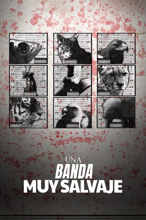 Series poster for The Wild Wild Bunch (2024)