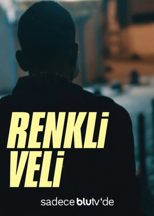 Movie poster for Renkli Veli (2018)