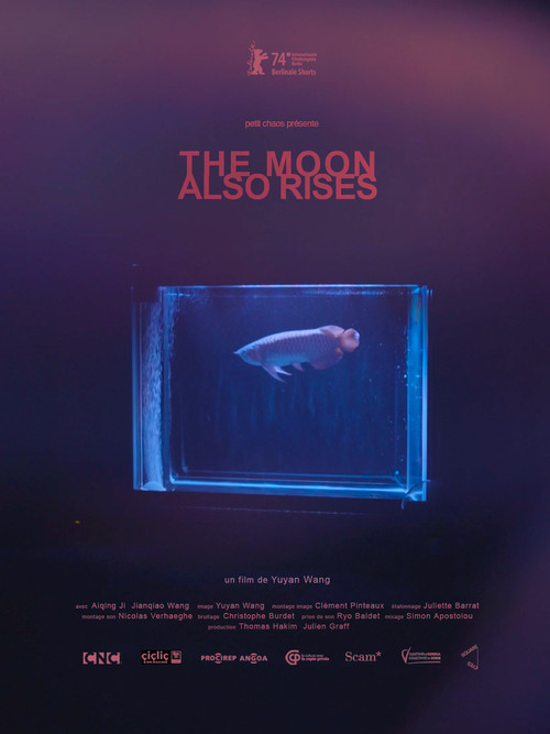 Movie poster for The Moon Also Rises (2024)