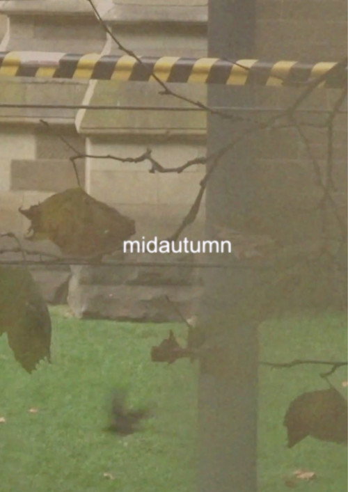Movie poster for midautumn (2024)