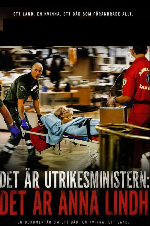 Movie poster for Det är utrikesministern: Det är Anna Lindh (2004)