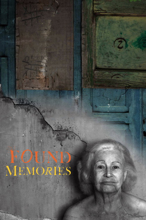 Movie poster for Found Memories (2012)
