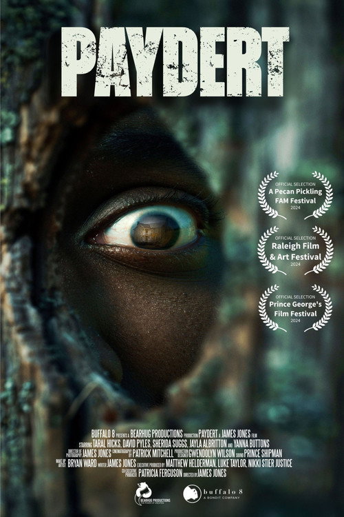Movie poster for Paydert