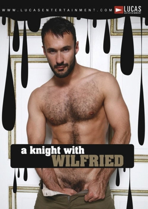 Movie poster for Auditions 28: A Knight With Wilfried (2008)