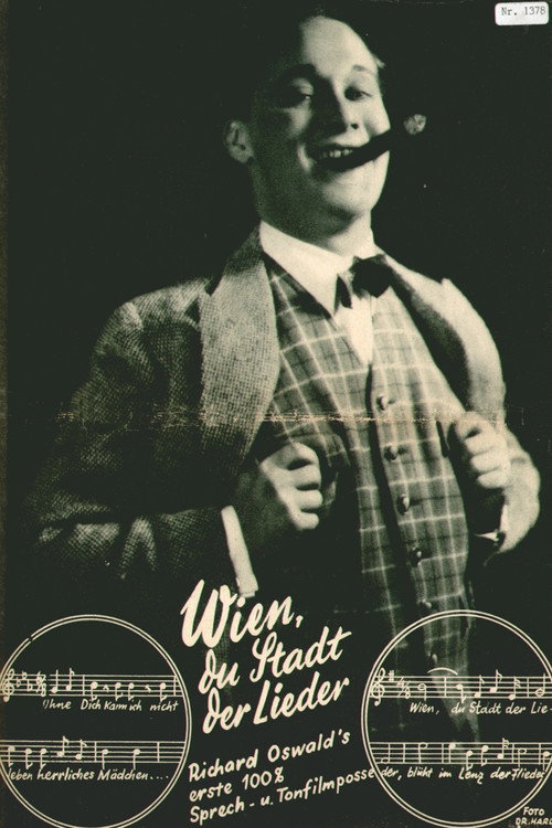 Movie poster for Vienna, City of Song (1930)